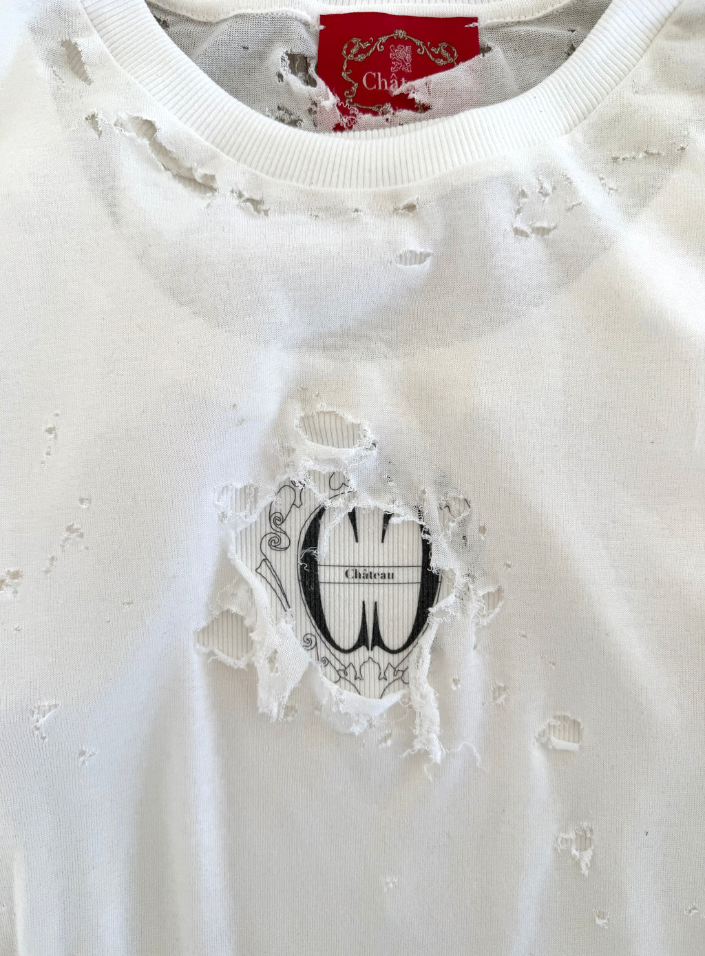 DESTROYED CERCLE TEE
