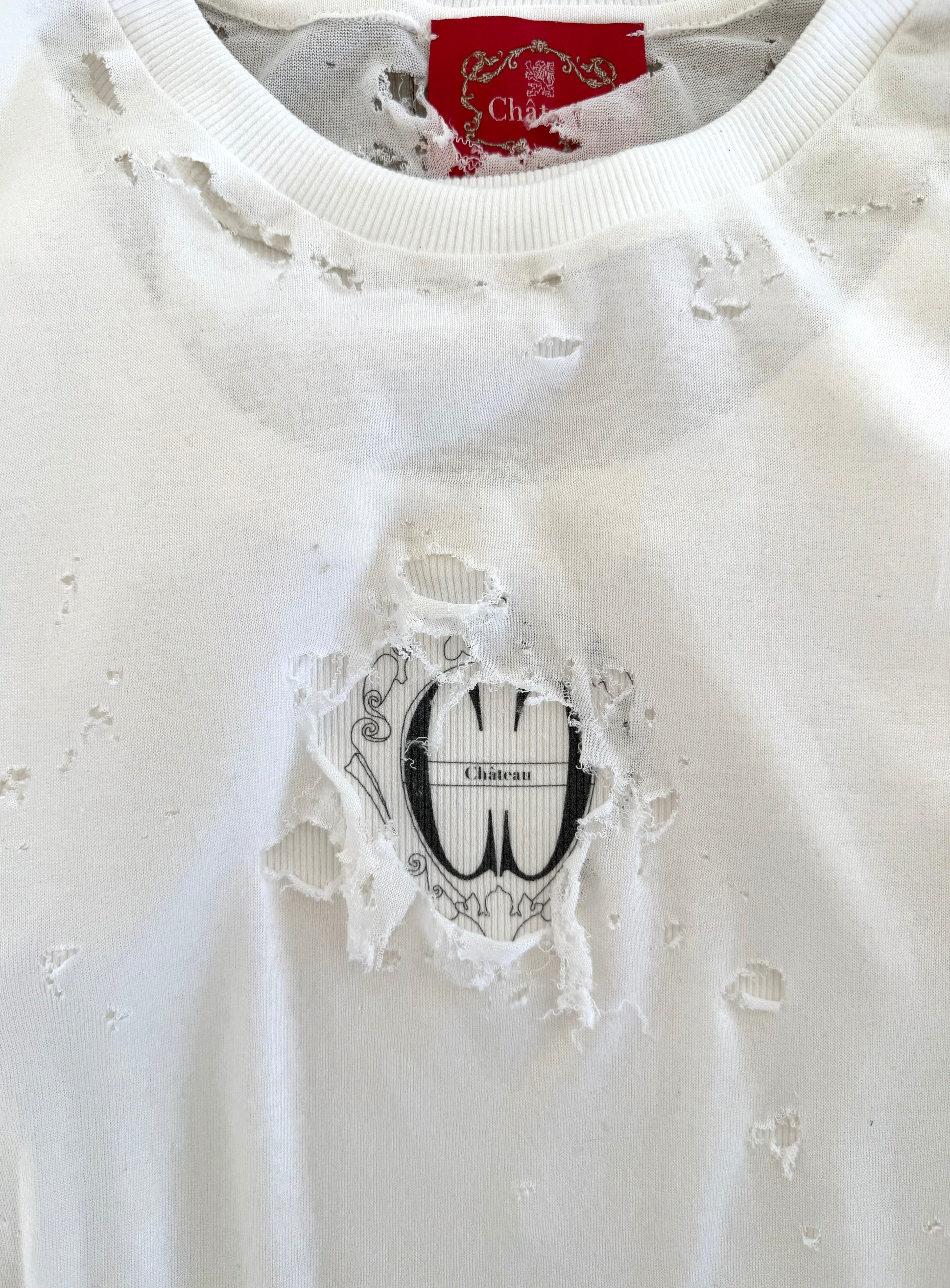 DESTROYED CERCLE TEE