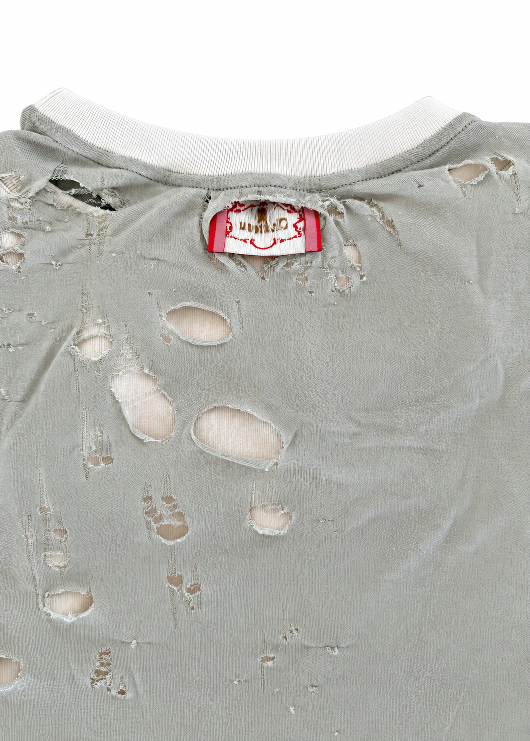 DESTROYED LION TEE