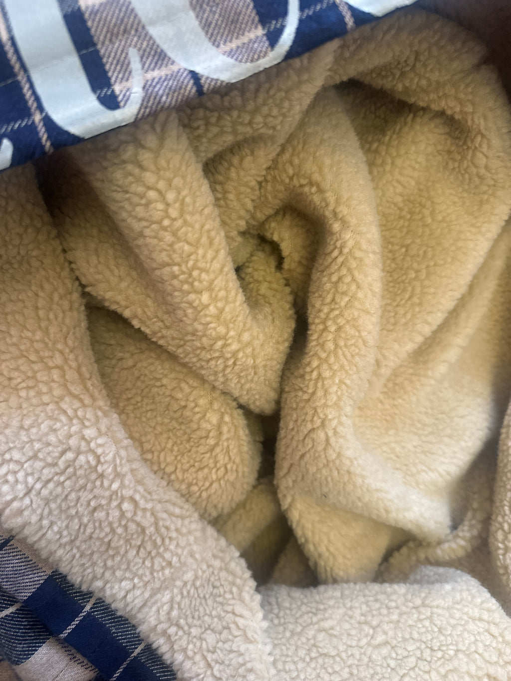 CHECKS ON CHECKS - Tartan